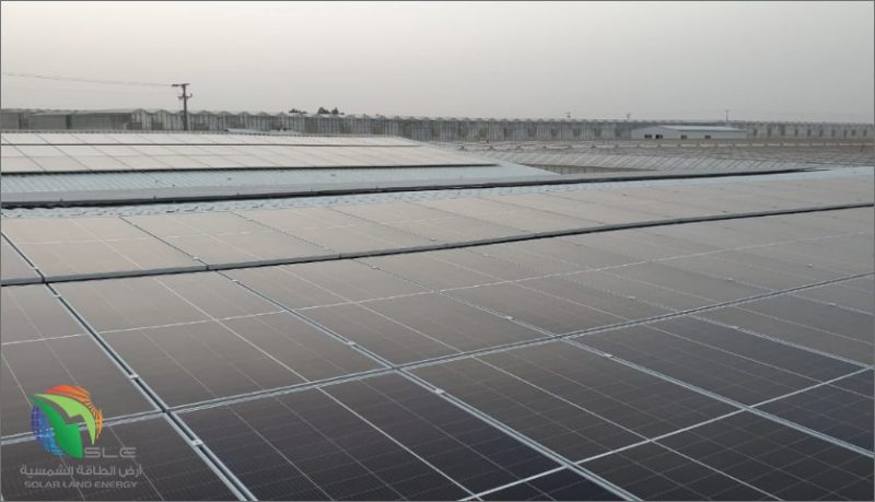 Al Mellouhi Farms
